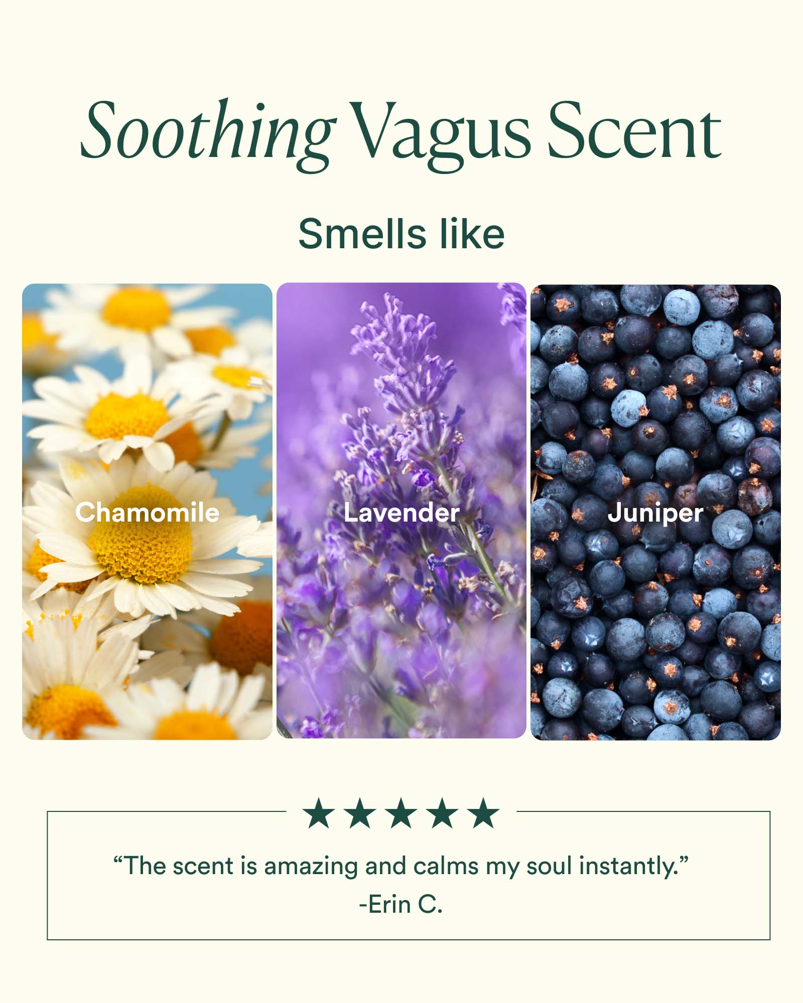 5-VPS_PDP_SCENT_1600x2000_e48f9450-6679-4d15-bf61-ddb36c0f9d12.jpg