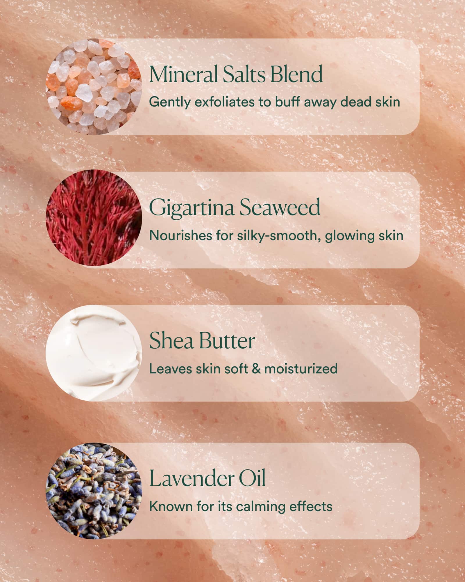 7-SOE_PDP_INGREDIENT_1600x2000_37d7d043-0df1-4b81-9526-a109c14c83c7.jpg